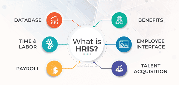 Human Resource Information Systems (HRIS) are often an all-in-one platform that covers all the main HR areas.