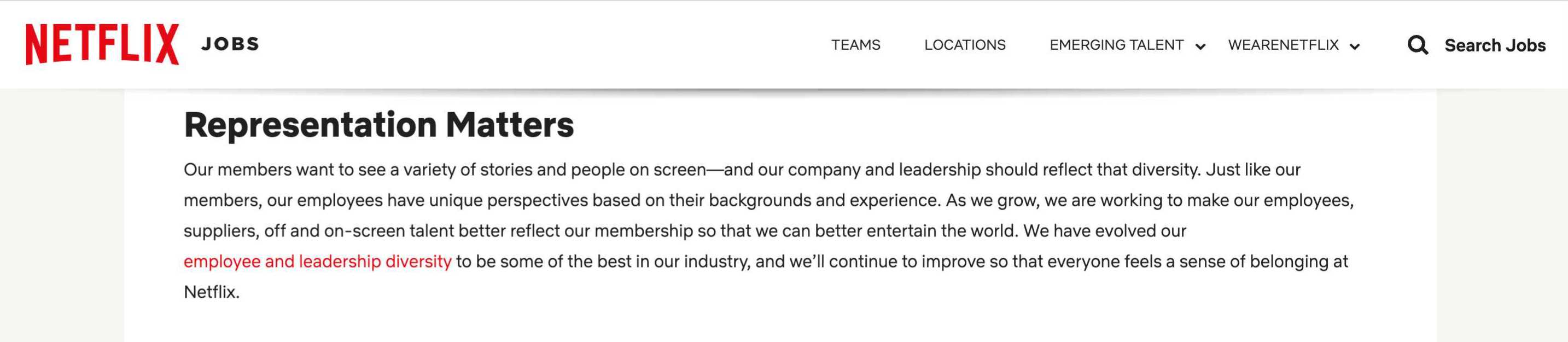 An example of representation from Netflix's company culture page