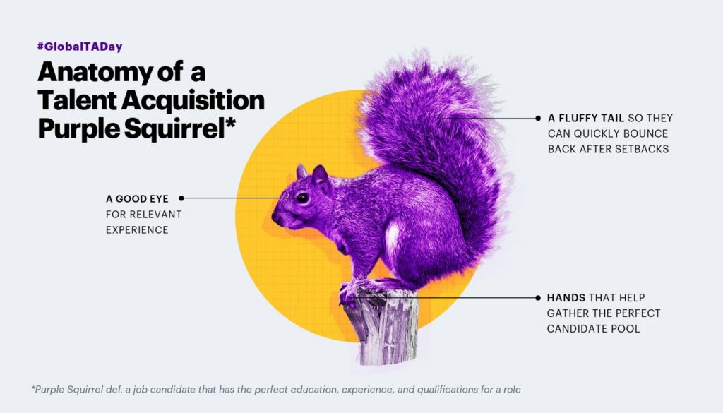 A purple squirrel is a common term in HR used to define the ideal candidate for the job.