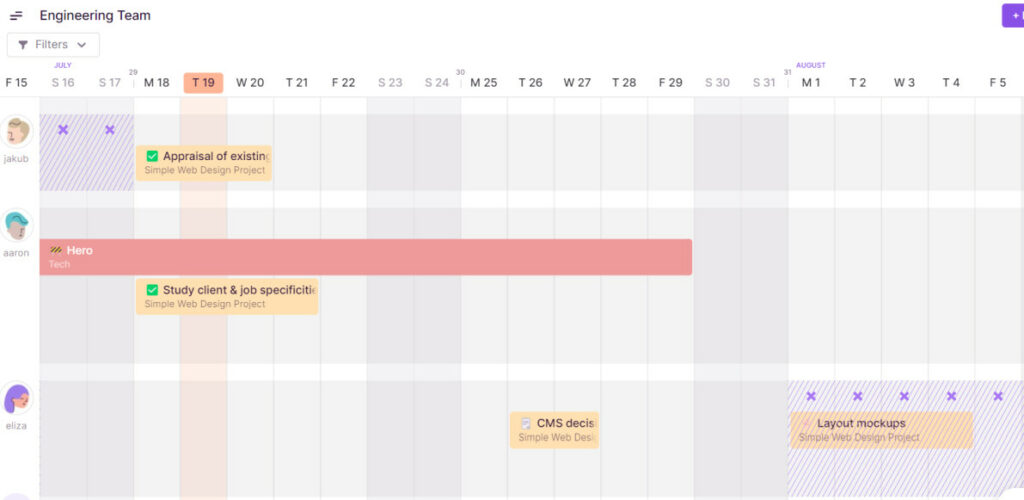 See your entire team's schedule in one place with Toggl Plan's team timelines